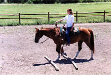 USA-Texas-Texas Equestrian Clinic